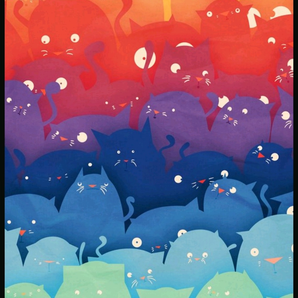 Meet your Posher, Chas